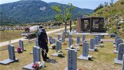 토양 남조류 '구슬말' 억제 미생물 발견