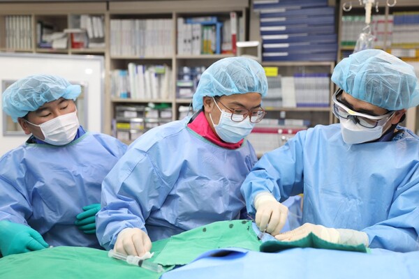 ���� ����ȫ �������� �� ġ�Ἶ�� �Ҽ� ���޶��� ��缱��(����)��<br>�ٵ�� ���ľ߱� �ü���(���)�� �Ѹ��밭�����ɺ��� ��ȯ�⳻�� ������ ����(������)�κ���<br>���󵿸� ����Ʈ �ü� ������ �ް� �ִ�.