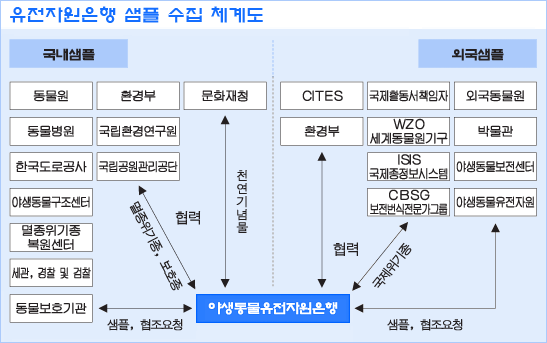 국가지정연구소재은행 소개야생동물유전자원은행 < 학술-기획특집 < 기획연재 < 기사본문 - 의학신문