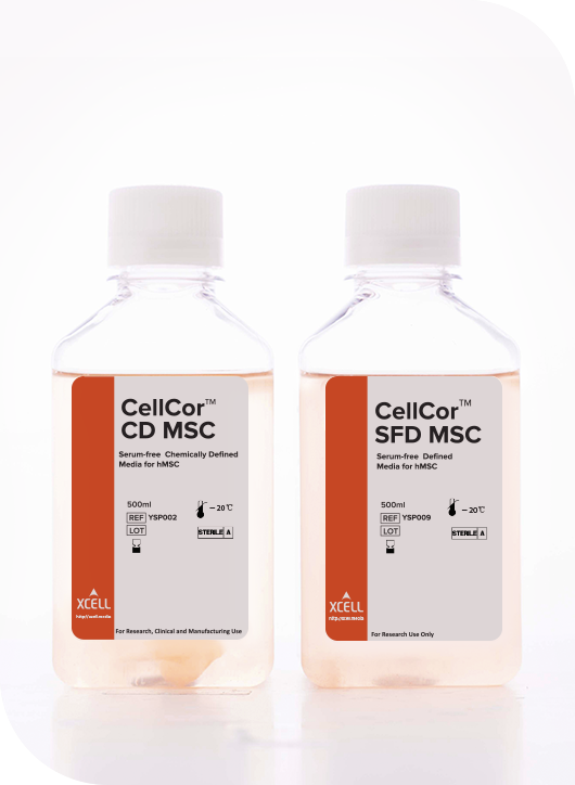 무혈청 화학조성 배양 배지 'CellCor'