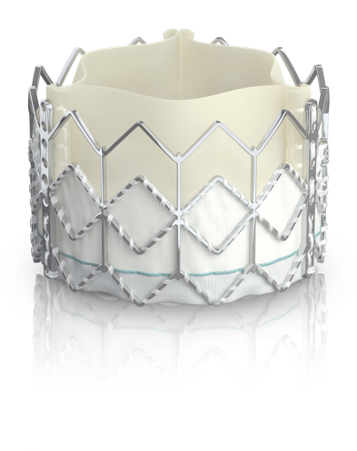 에드워즈라이프사이언시스 사피엔<br>