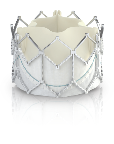 에드워즈라이프사이언시스 사피엔 XT