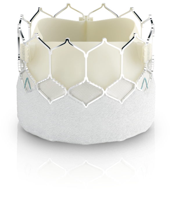 에드워즈라이프사이언시스 사피엔 3 울트라<br>