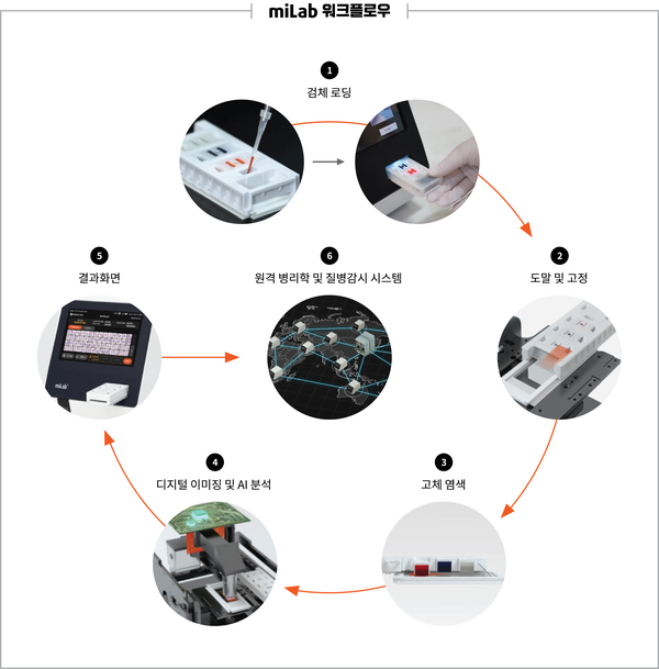 혈액 검체의 전처리부터 이미징, AI 분석까지 작은 디바이스 하나로 진행한다.<br>