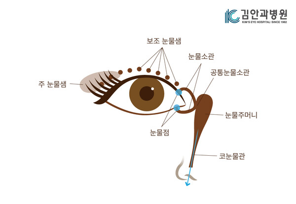 찬바람 불면 심해지는 눈물흘림증, 원인 따라 치료법 달라