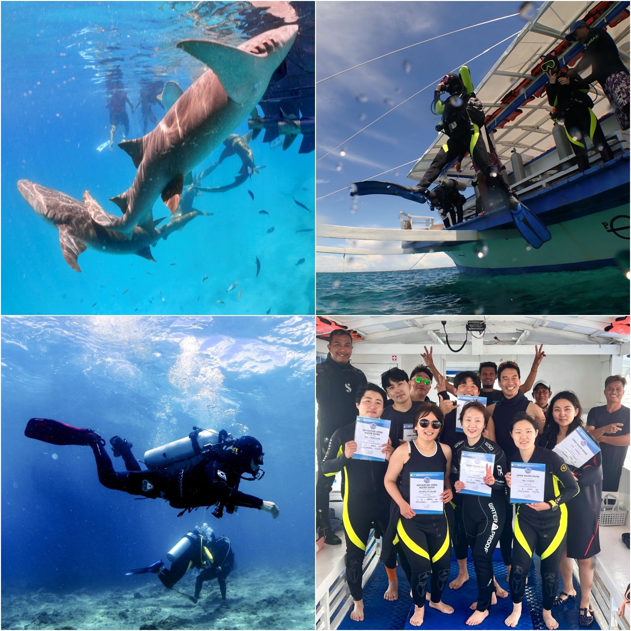(왼쪽상단부터 시계방향으로)김득일 팀장이 촬영한 몰디브 널스상어, 바다시험에서 '자이언트 스트라이드'를하는 교육생,<br>바다시험 후 자격증수료증을 받은 교육생들과 김득일 팀장, 다이빙리딩 모습.