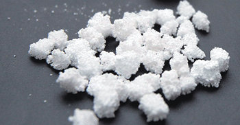 노보시스 캐리어 확대 이미지