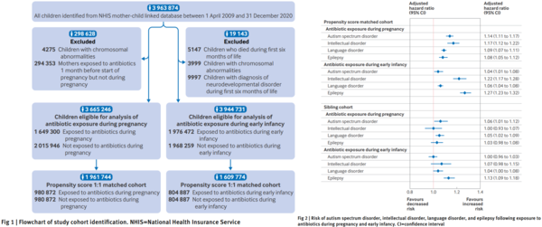주요 연구 결과