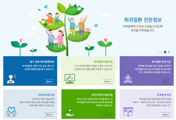 질병청의 희귀질환 지원사업(출처: 희귀질환 헬프라인)