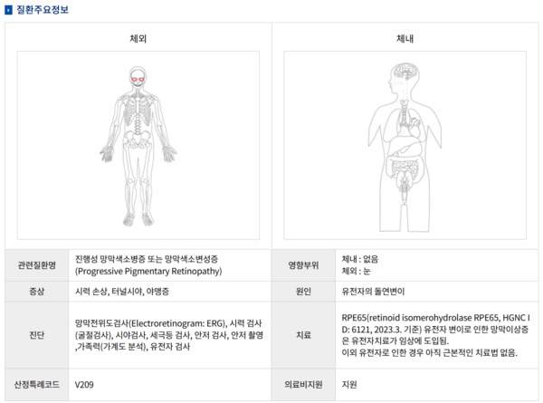 색소망막염 주요 정보(출처: 희귀질환 헬프라인)