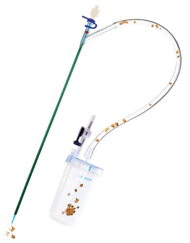 클리어페트라 제품 이미지