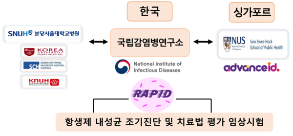 RAPID 임상시험 참여체계
