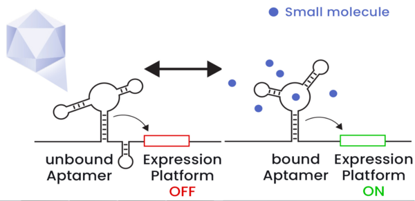 리보스위치&nbsp;