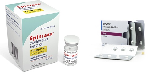 ���ʺ��� ���ɶ��ڿ� ���긮����. ���� ��ó=���̿���(���ɶ���), �ν�(���긮����)