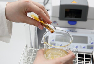 베름, 'EF-2001' 인체적용시험서도 효과 입증 - 뉴스 썸네일 이미지