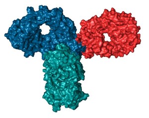 노보 출혈장애 신약개발사 투자 - 뉴스 썸네일 이미지